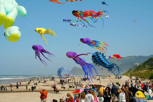 Great Places to Fly a Kite in the U.S.