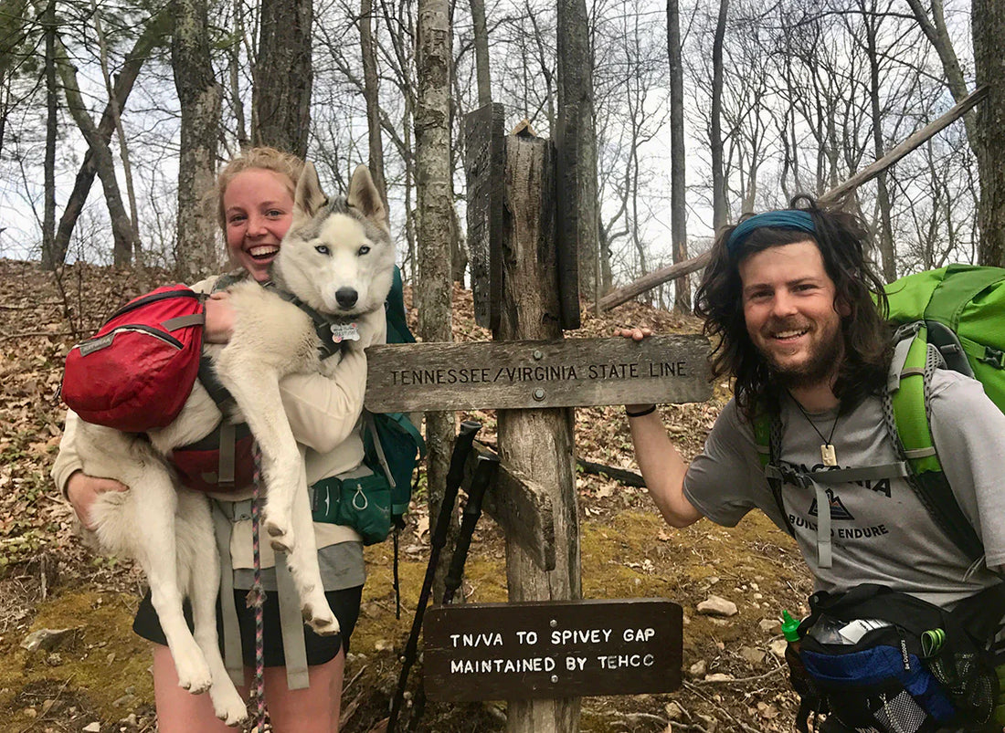Hiking with Pets: Adventure and Safety for All Paws and Feet 🥾🐾🌲