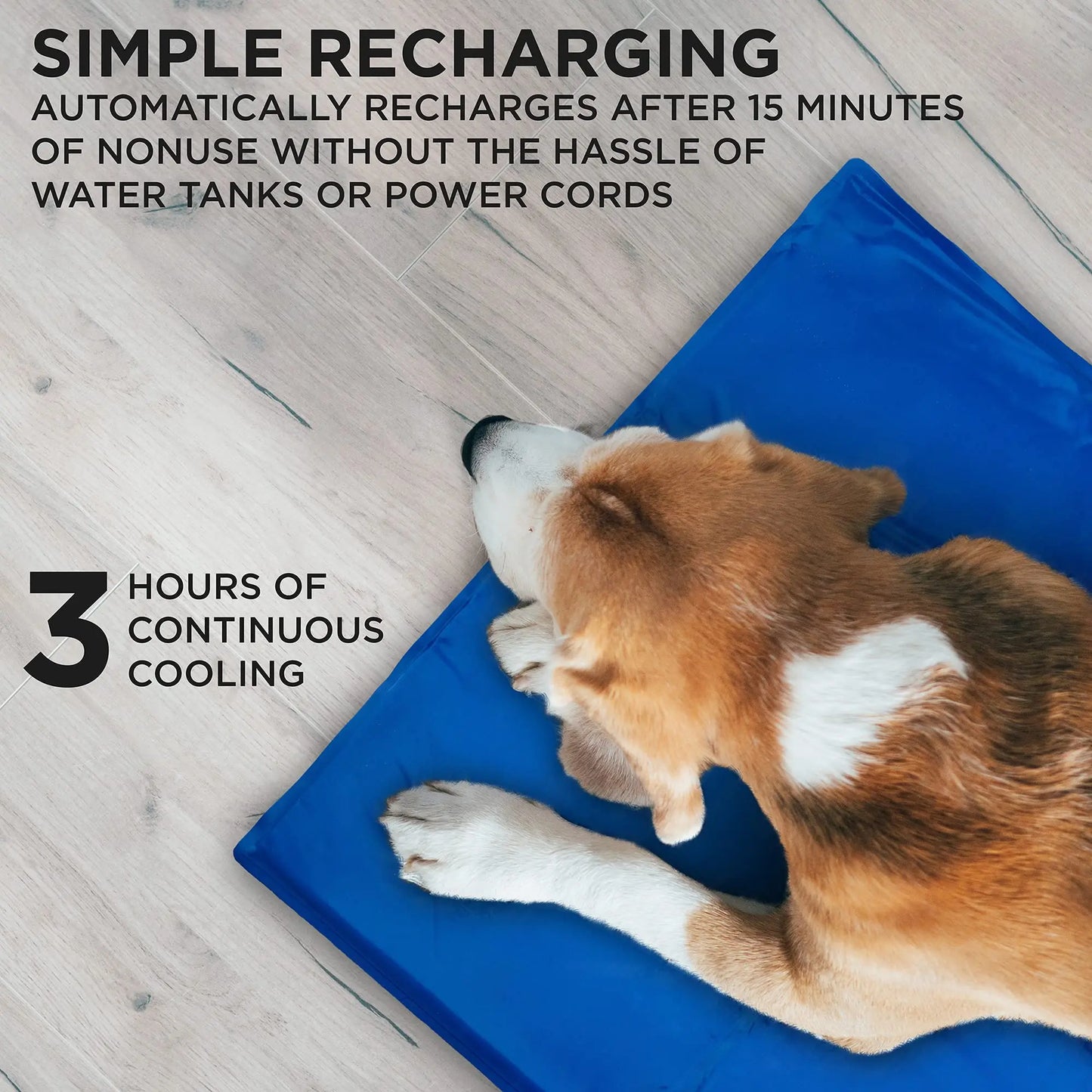 Arf Pets Dog Cooling Mat 19”x35”, Durable, Non-Toxic Gel Dog Bed Mat for Kennels, Crates & Beds