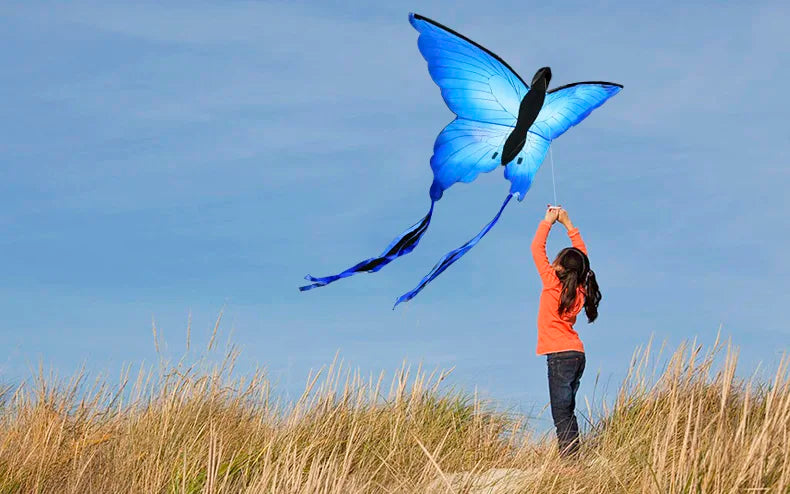Strong Butterfly With Long Tail!Huge Beginner Kites for Kids And Adults 55-Inch Come With String And Handle