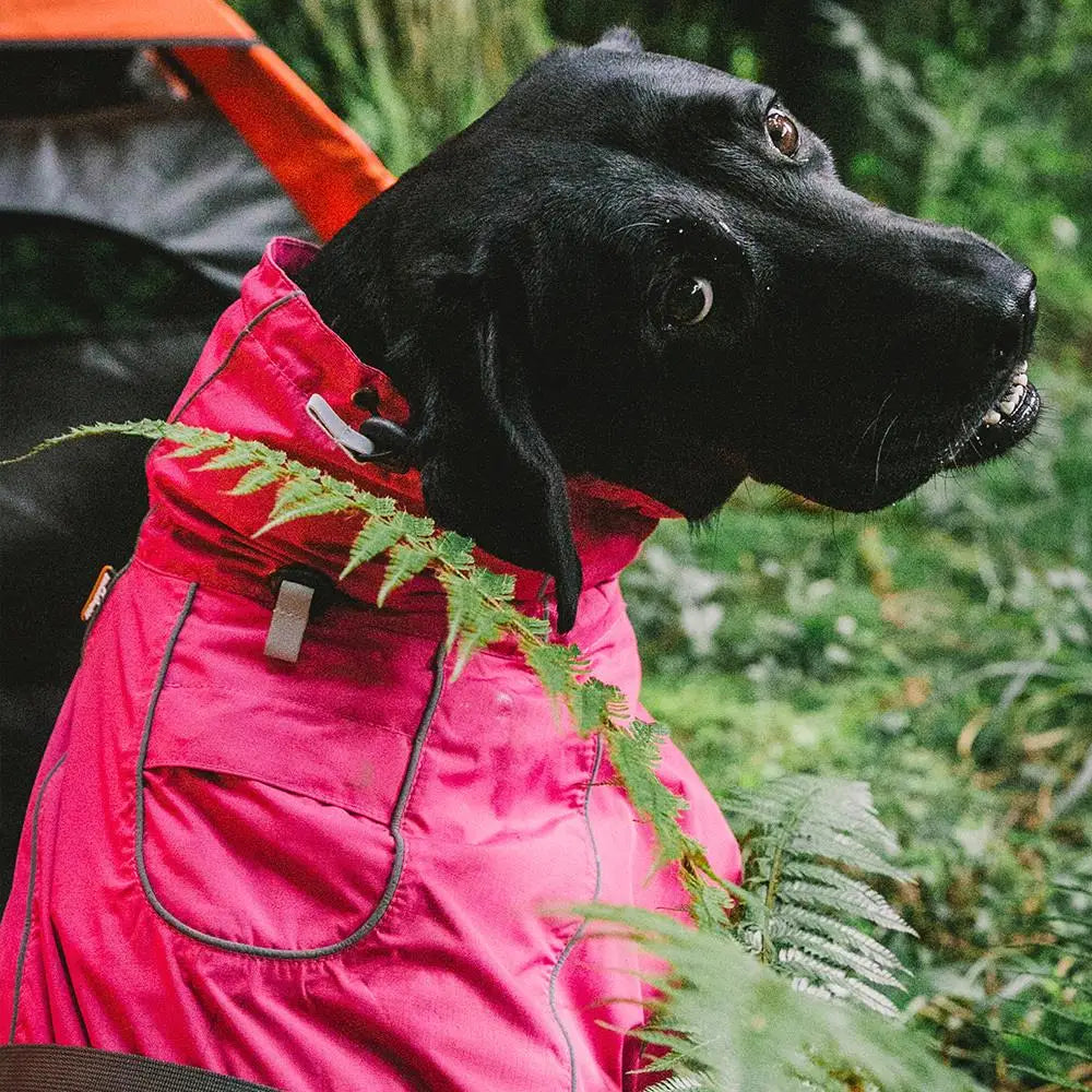 Waterproof Dog Coats for Small Dogs - Warm Adjustable with Drawstring, Cozy Sport Vest in (Size XL)