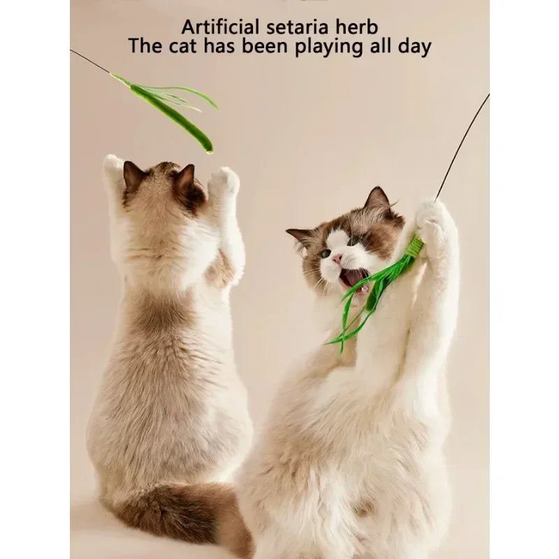 Cat and Dog Grass Chew Toy Teaser Stick Natural Bite Resistant Dental Teeth Cleaning Self Soothing Play Durable Pet Toys Cat Tea