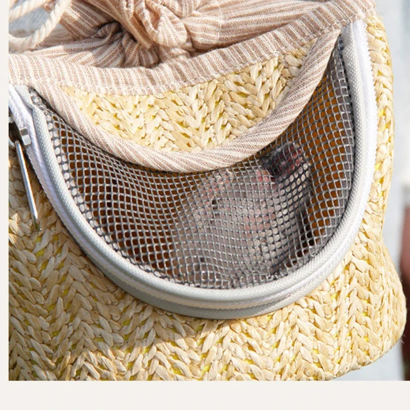 Portable Small Pet Breathable Backpack Parrot Bird Guinea Pig Hamster Dragon Cat Lizard Glider Small Animal Travel Accessories