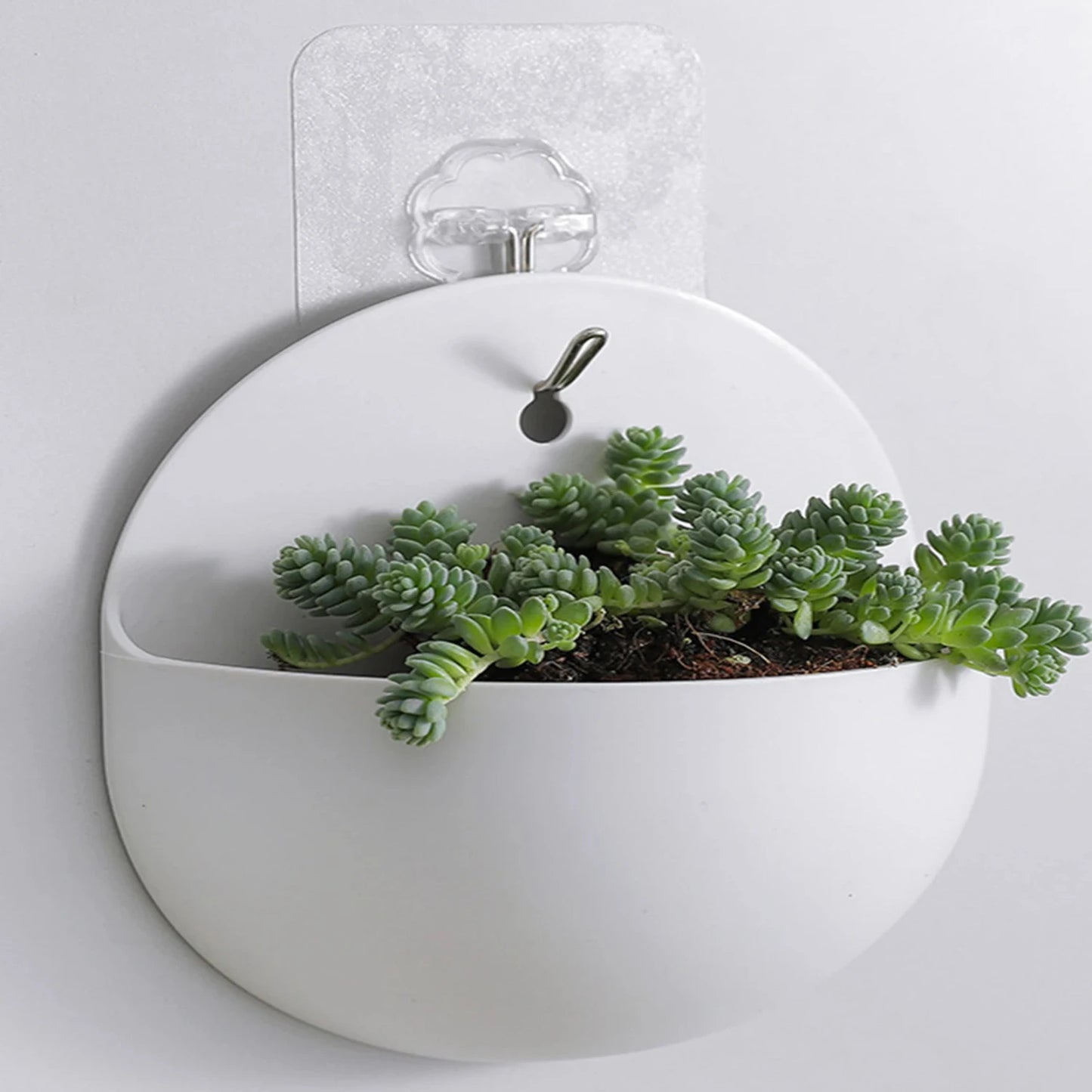 Wall hanging bonsai planters balcony hanging succulent plant baskets gardening tools