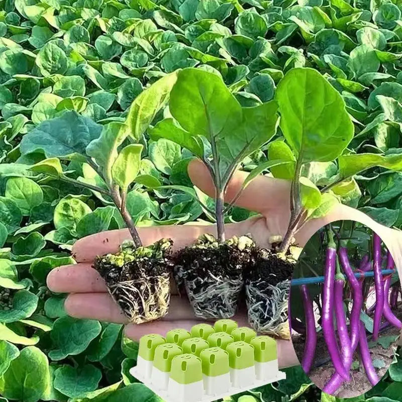 Greenhouse Seed Starter Tray Seedling Box with Adjustable Ventilator Cover Plant Germination Transplant 12-Cell TPE Nursery Pot