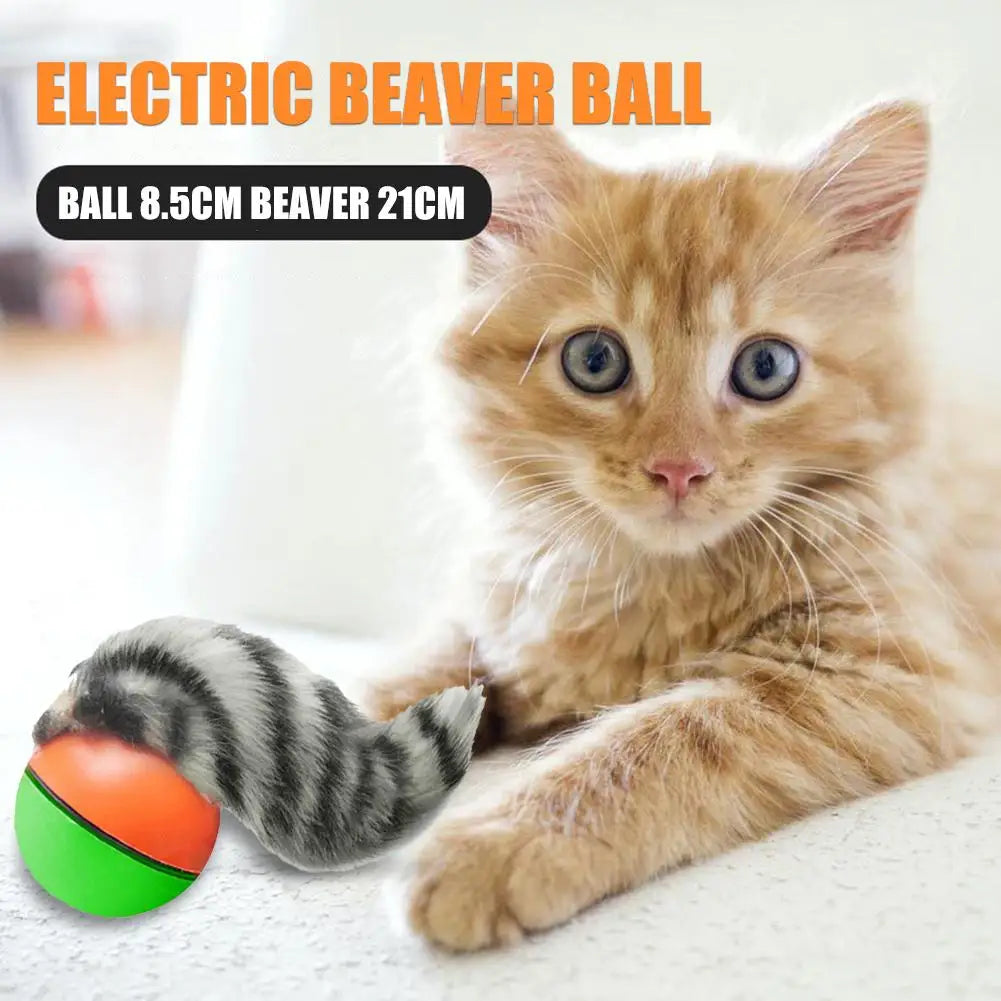Electric Beaver Weasel Rolling Ball Chasing Toys for Cats