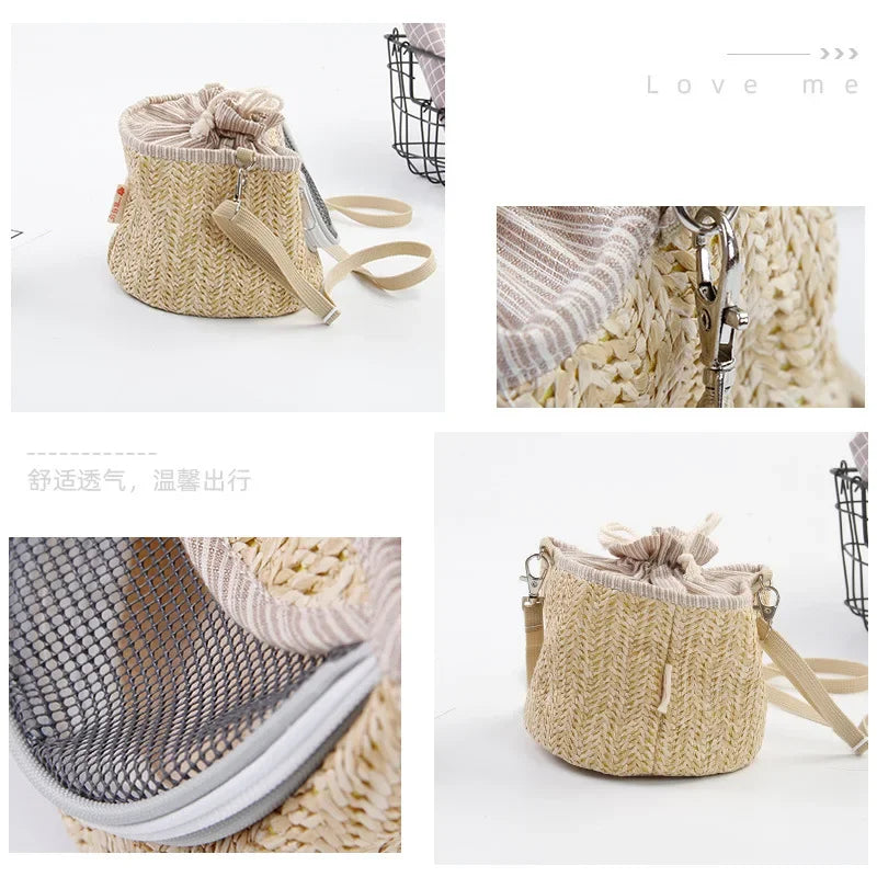 Portable Small Pet Breathable Backpack Parrot Bird Guinea Pig Hamster Dragon Cat Lizard Glider Small Animal Travel Accessories