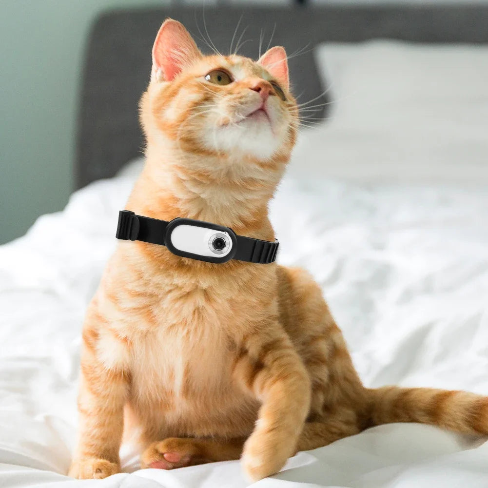 HD 1080P Wireless Collar Camera Video Records Dog Cat Pet Camera Collar Mini Body Cam with 32G Card for Cats Dogs Birthday Gift