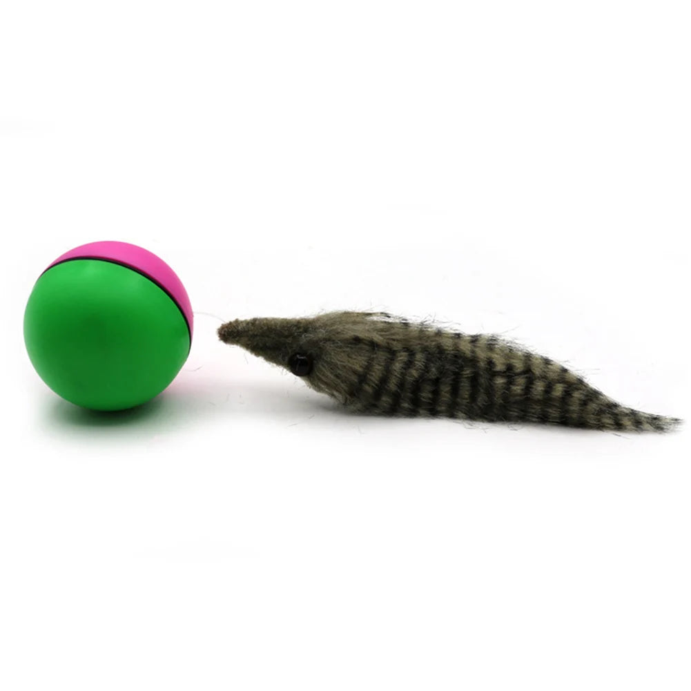 Electric Beaver Weasel Rolling Ball Chasing Toys for Cats