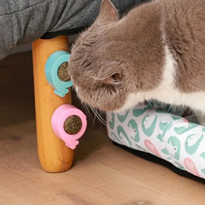 Licking Treats Supplies Ball Catnip Ball Pet Wall Spherical Cat Ball Kitten Wall Cleaning Rotatable Catnip Licking Toy Teeth