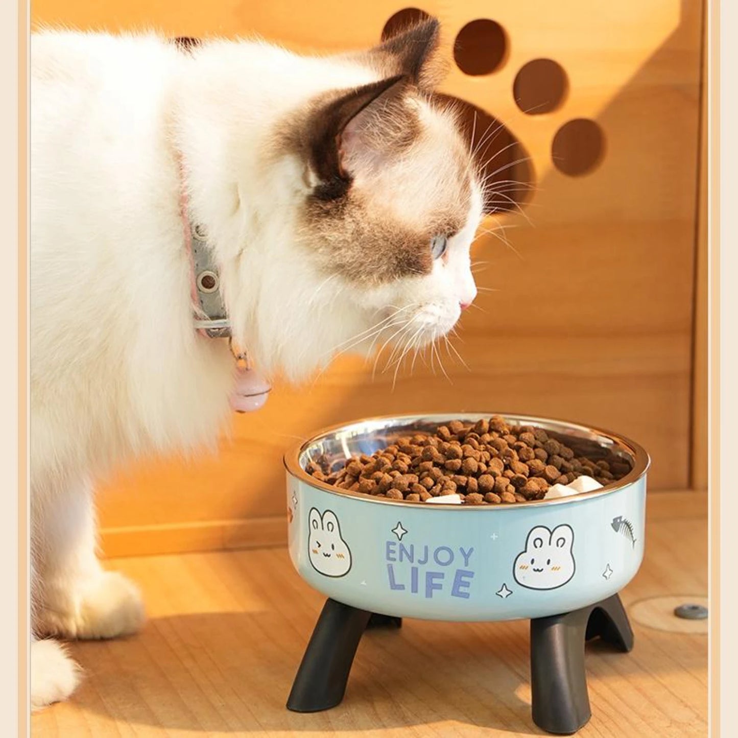 Non-Slip Elevated Pet Bowl for Puppies & Kittens, Anti-Tip Stainless Steel Dish with Neck Support, Ergonomic Design