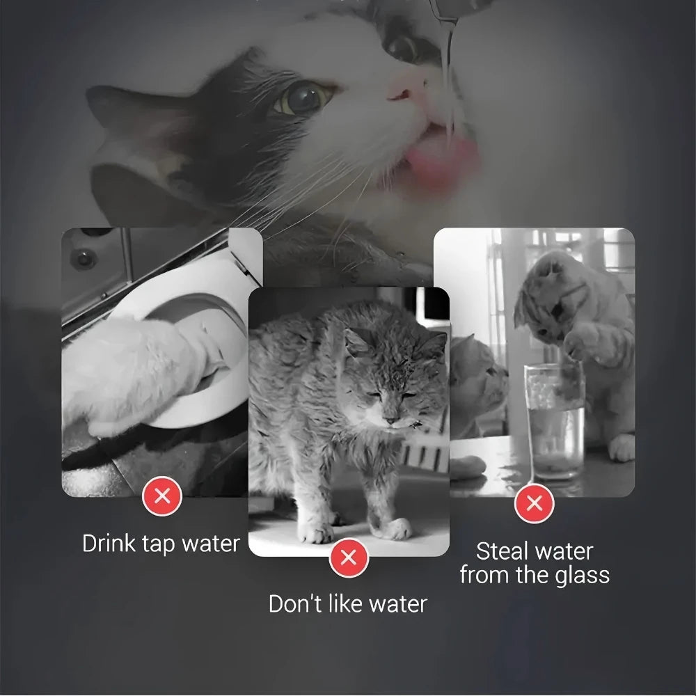 1.8L BPA-Free Automatic Pet Water Fountain with Adjustable Flow, Ultra-Quiet Pump, Energy-Saving, Easy Clean for Cats & Dogs, Id