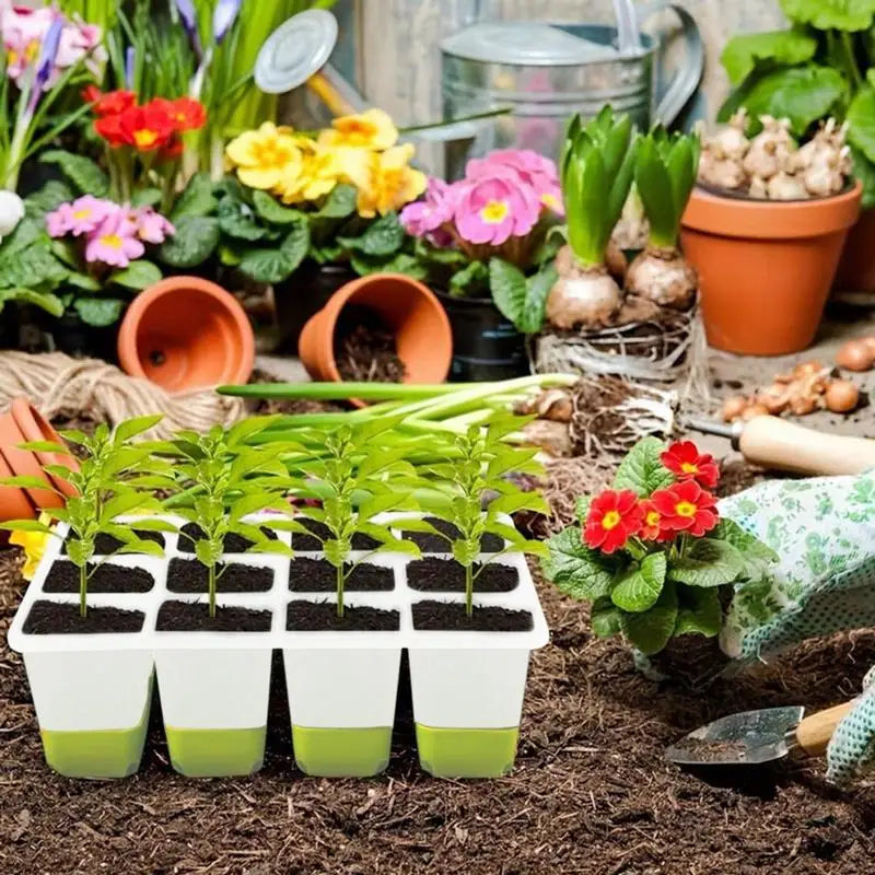 Greenhouse Seed Starter Tray Seedling Box with Adjustable Ventilator Cover Plant Germination Transplant 12-Cell TPE Nursery Pot
