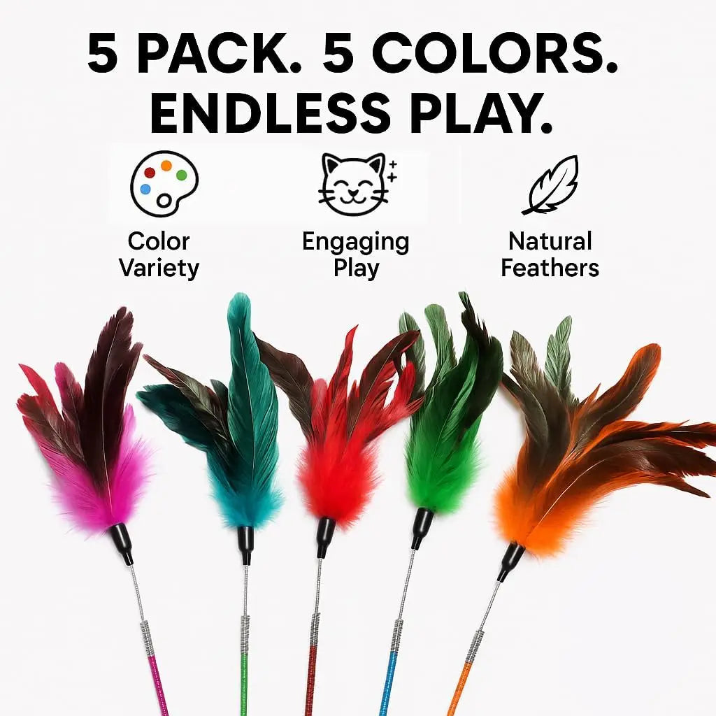 Cat Wand Toy Feather Sticks - 5 Piece Interactive Wands Toy Set with Feathers, Durable Spring Design - Perfect for Eng