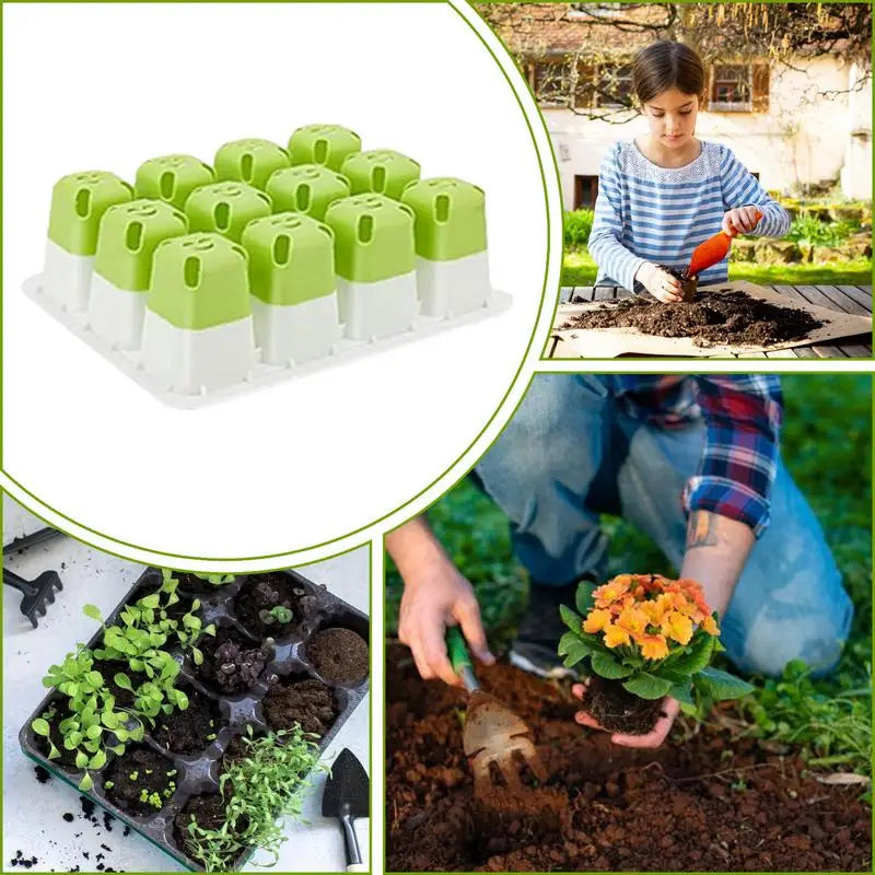 Greenhouse Seed Starter Tray Seedling Box with Adjustable Ventilator Cover Plant Germination Transplant 12-Cell TPE Nursery Pot