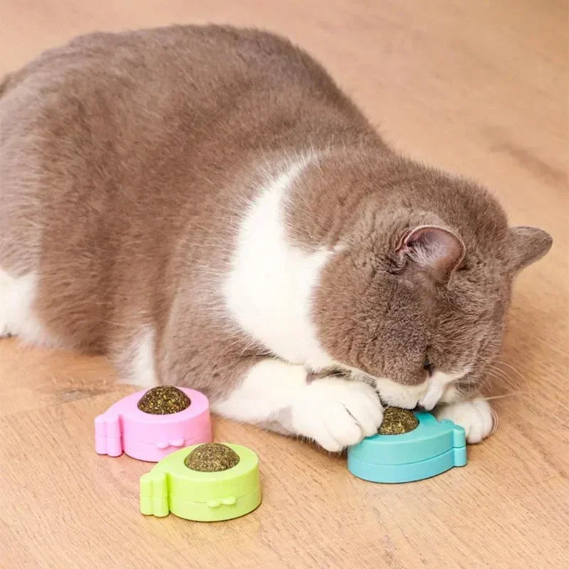 Licking Treats Supplies Ball Catnip Ball Pet Wall Spherical Cat Ball Kitten Wall Cleaning Rotatable Catnip Licking Toy Teeth