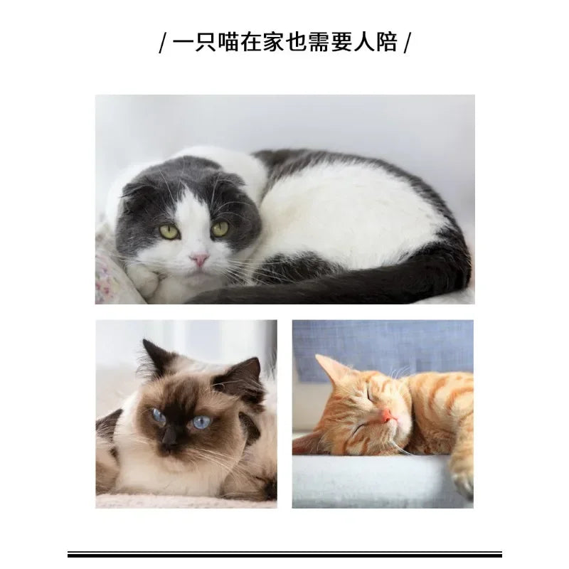 Cat Toy Balls Funny Stretchable Kitten Springs Toys Interactive Caged Rats Rolling Cat Balls
