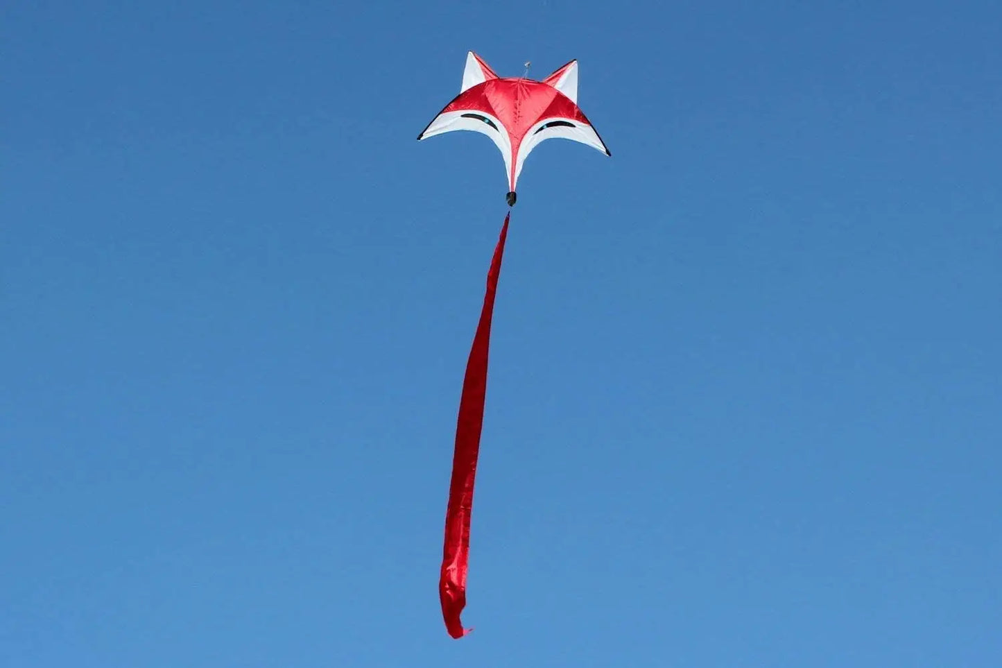 New Arrive Outdoor Sport Kite /Fox Kites For Children With Handle And Line Good Flying