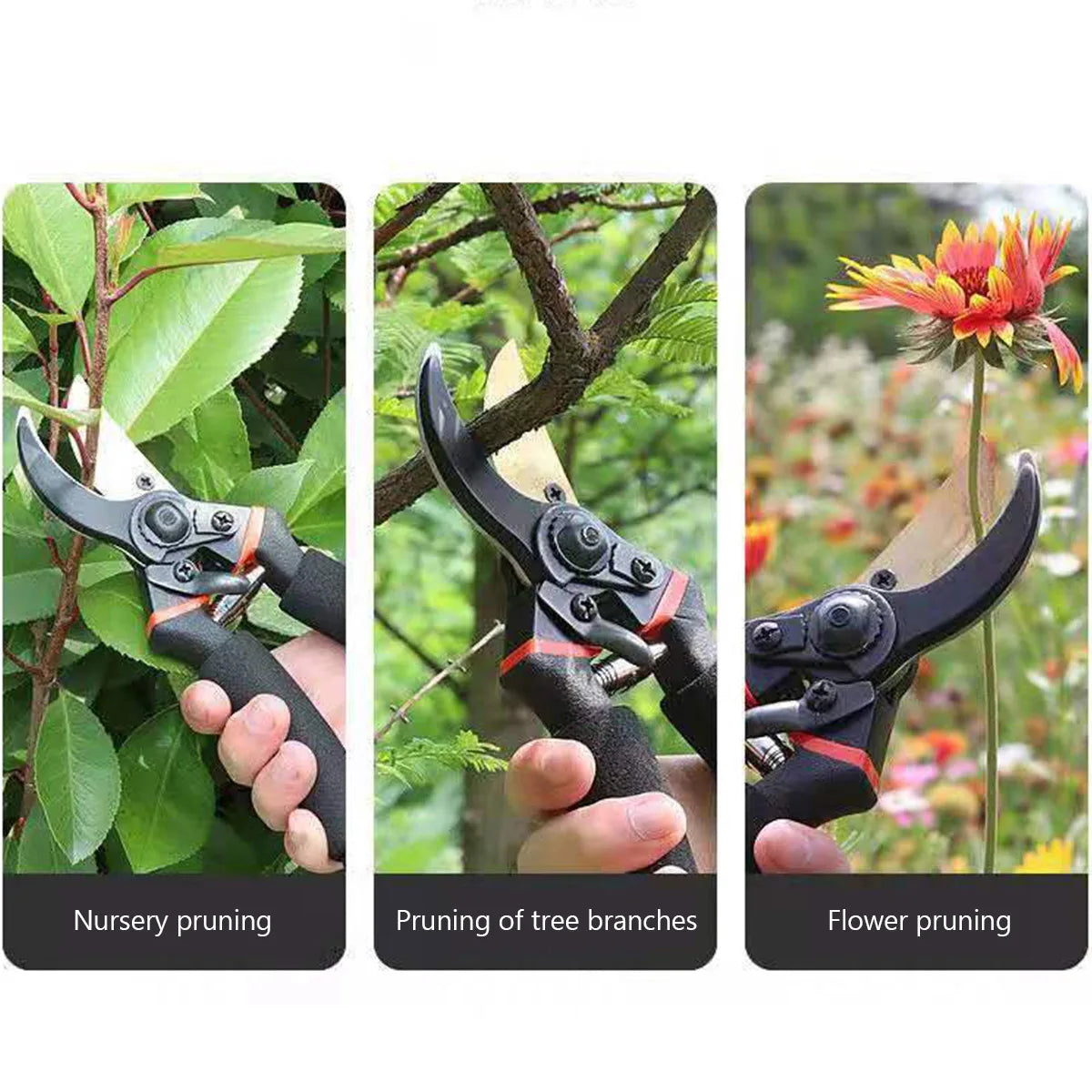 Professional 10 Inch Garden Pruner Shears SK5 Blade Pruning Scissors for Bonsai Fruit Trees Flowers Branches Garden Pruners