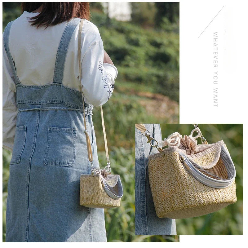 Portable Small Pet Breathable Backpack Parrot Bird Guinea Pig Hamster Dragon Cat Lizard Glider Small Animal Travel Accessories