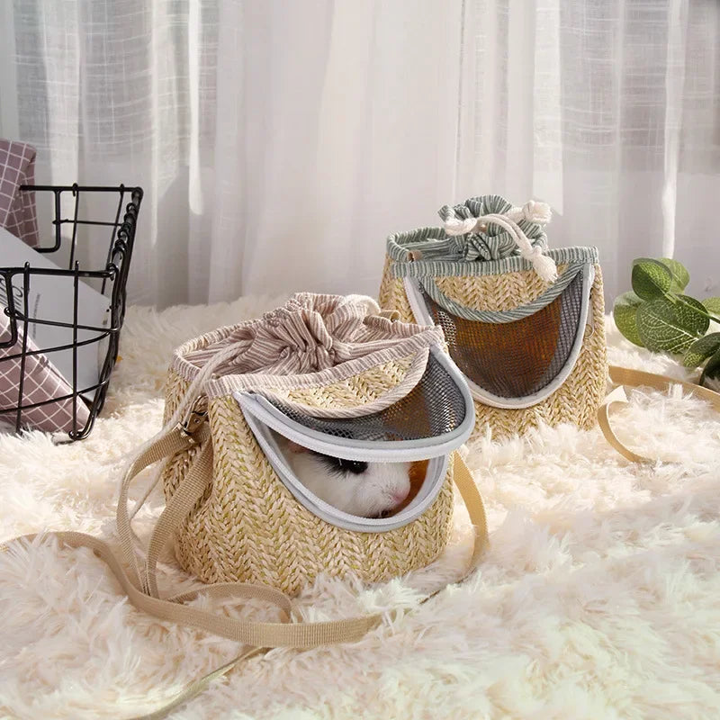 Portable Small Pet Breathable Backpack Parrot Bird Guinea Pig Hamster Dragon Cat Lizard Glider Small Animal Travel Accessories