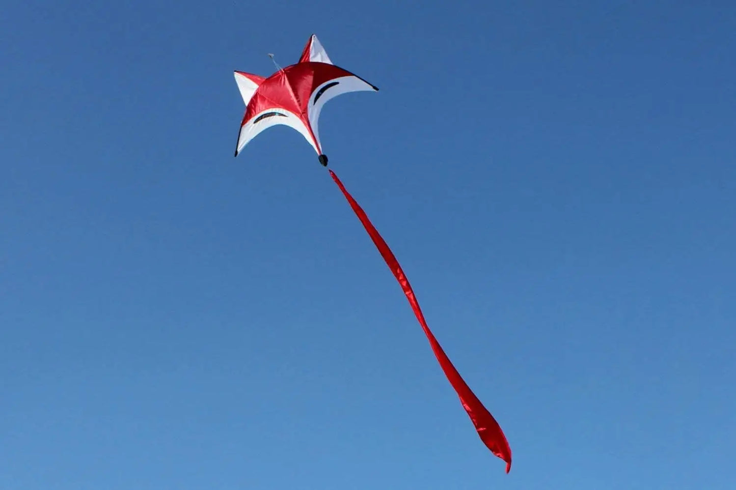 New Arrive Outdoor Sport Kite /Fox Kites For Children With Handle And Line Good Flying