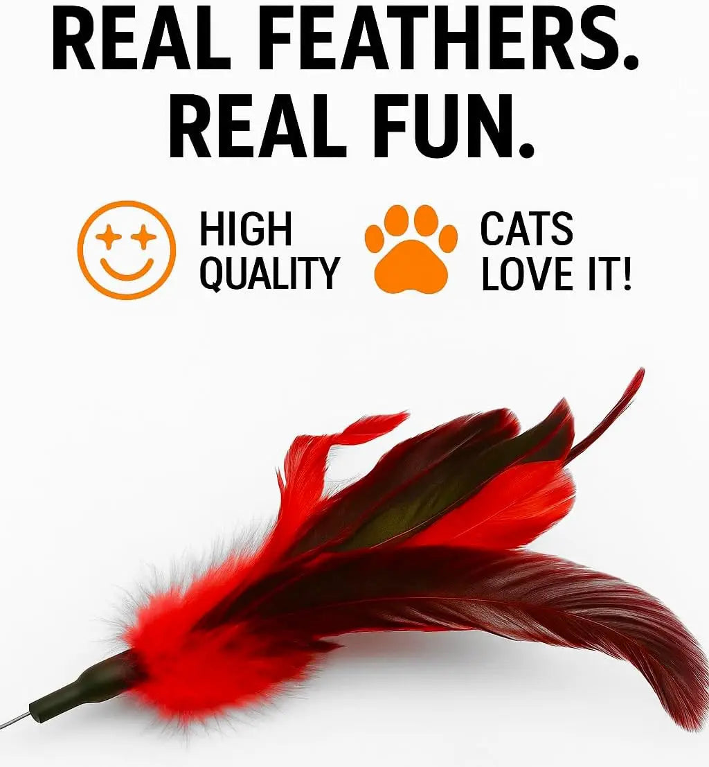 Cat Wand Toy Feather Sticks - 5 Piece Interactive Wands Toy Set with Feathers, Durable Spring Design - Perfect for Eng