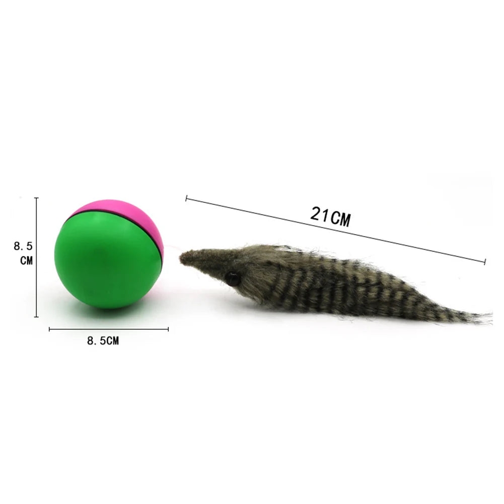Electric Beaver Weasel Rolling Ball Chasing Toys for Cats