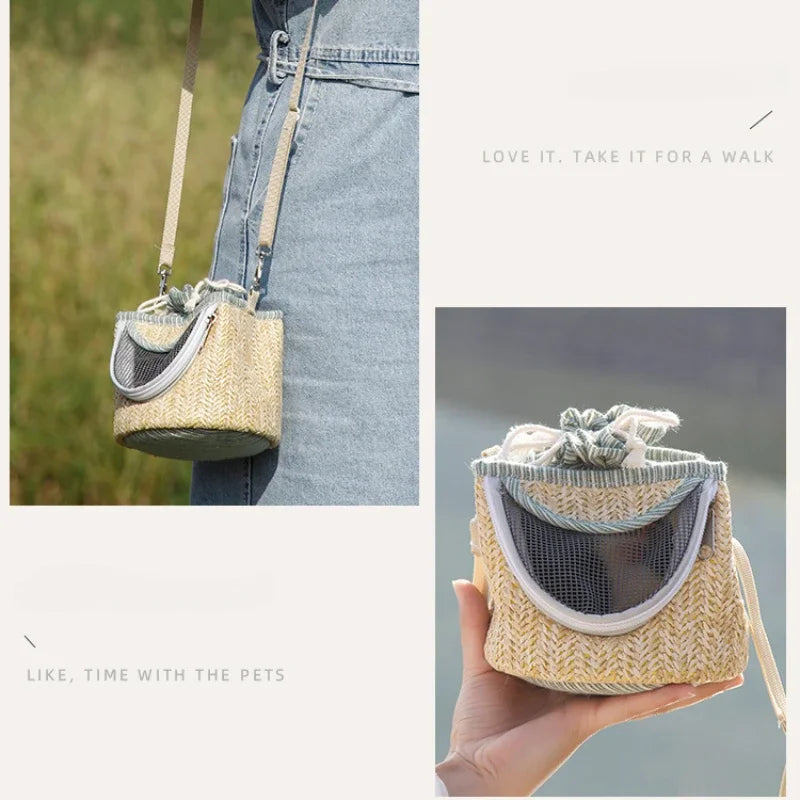 Portable Small Pet Breathable Backpack Parrot Bird Guinea Pig Hamster Dragon Cat Lizard Glider Small Animal Travel Accessories