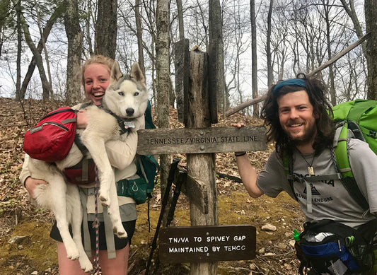 Hiking with Pets: Adventure and Safety for All Paws and Feet 🥾🐾🌲