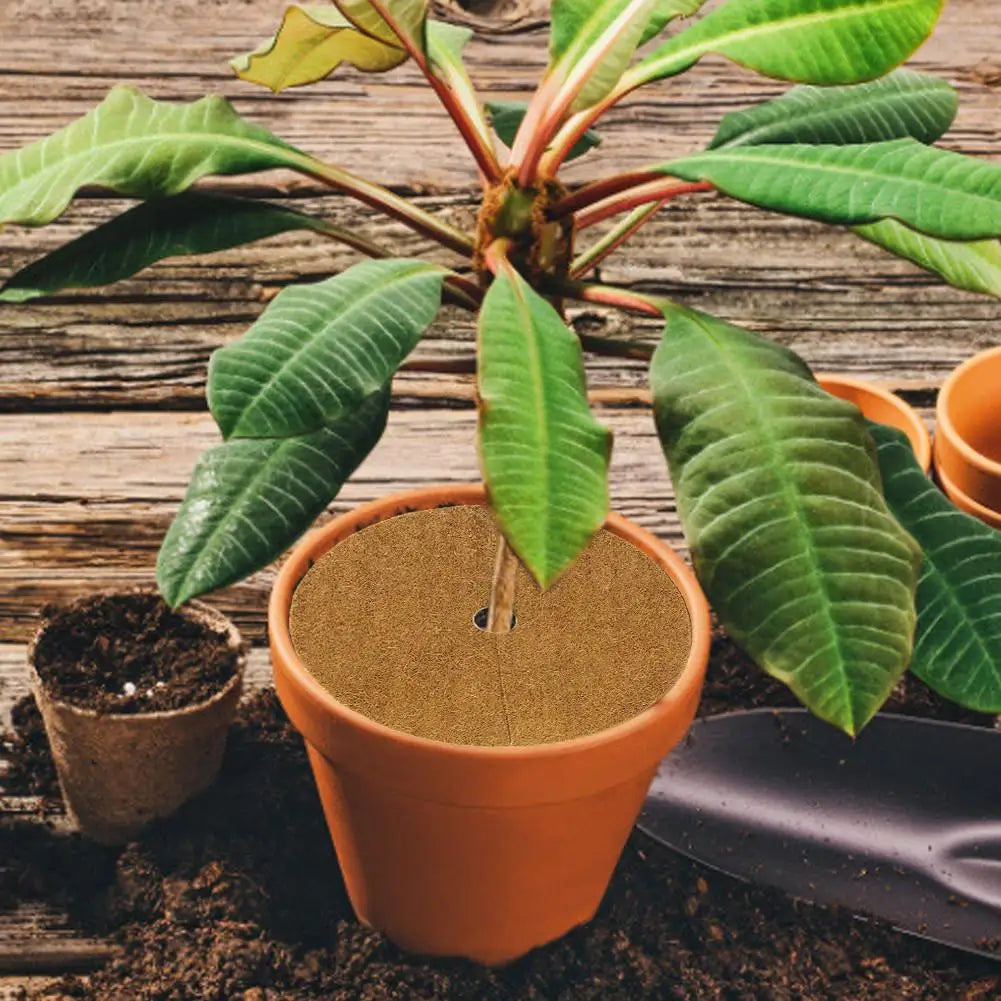 10Pcs Coir Fiber Liner Round Coconut Natural Coconut Fibers Disc Coir Weed Control Rings for Weed Control Plant Cover Flower Pot