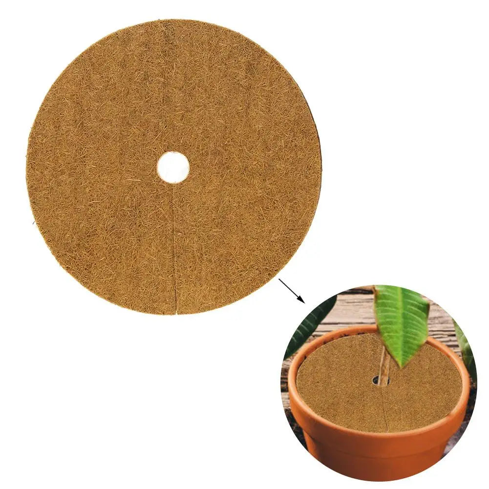 10Pcs Coir Fiber Liner Round Coconut Natural Coconut Fibers Disc Coir Weed Control Rings for Weed Control Plant Cover Flower Pot