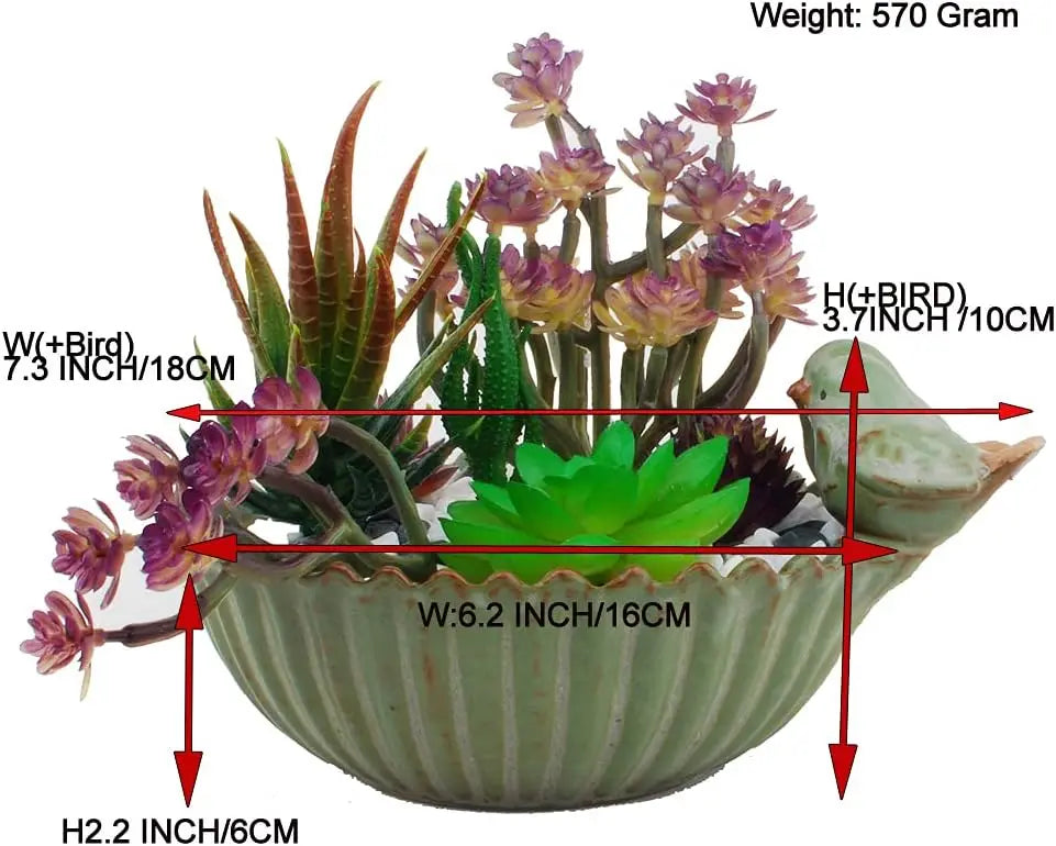 Fun Garden 6-Inch Flower Planter for Succulents, Indoor Outdoor Bird Pot - Quick and EZ Shop