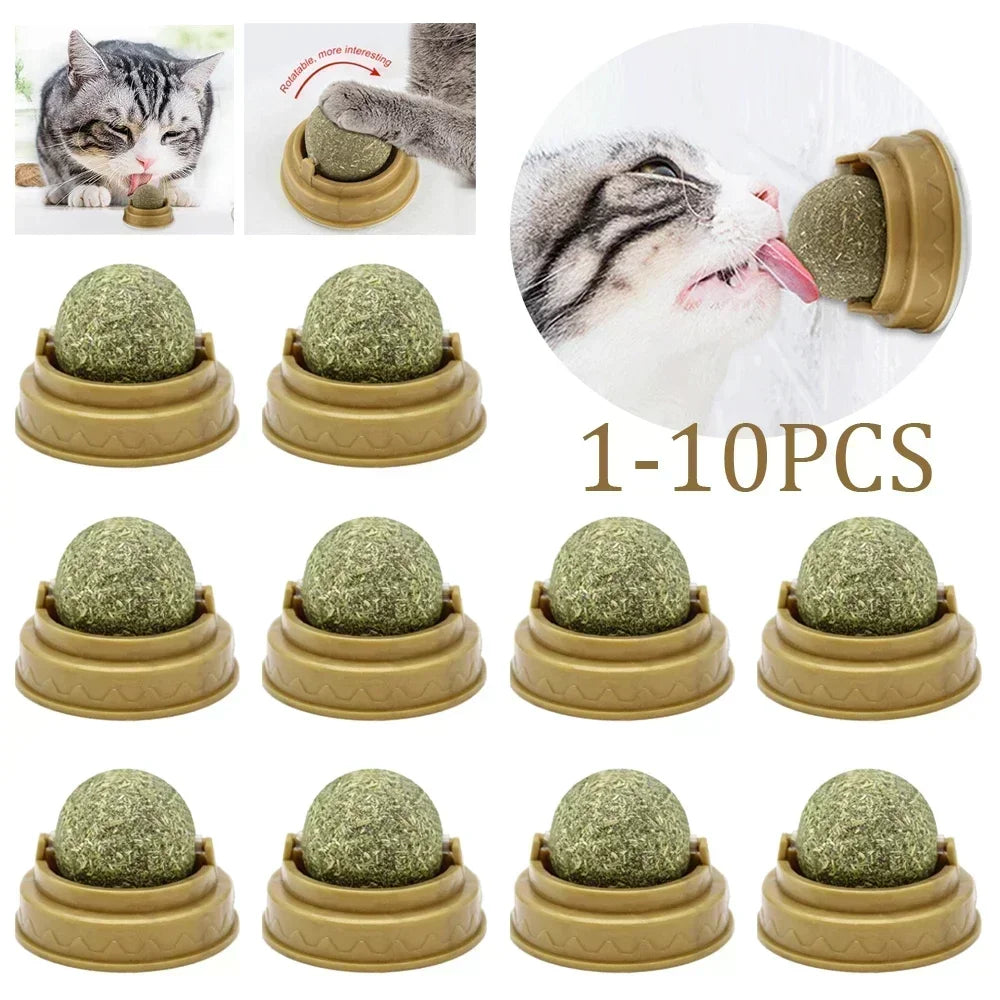1-10PC Pet Catnip Toys Edible Catnip Ball Safety Healthy Cat Mint Cats Chasing Game Toy Products Clean Teeth The Stomach Catmint - Quick and EZ Shop