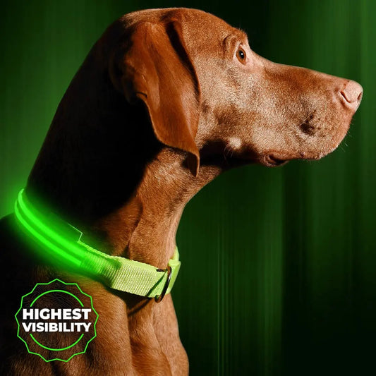 Vizpet LED Dog Collar, Light Up Dog Collar Adjustable USB Rechargeable Super Bright Safety Light Glowing Collars for Dogs