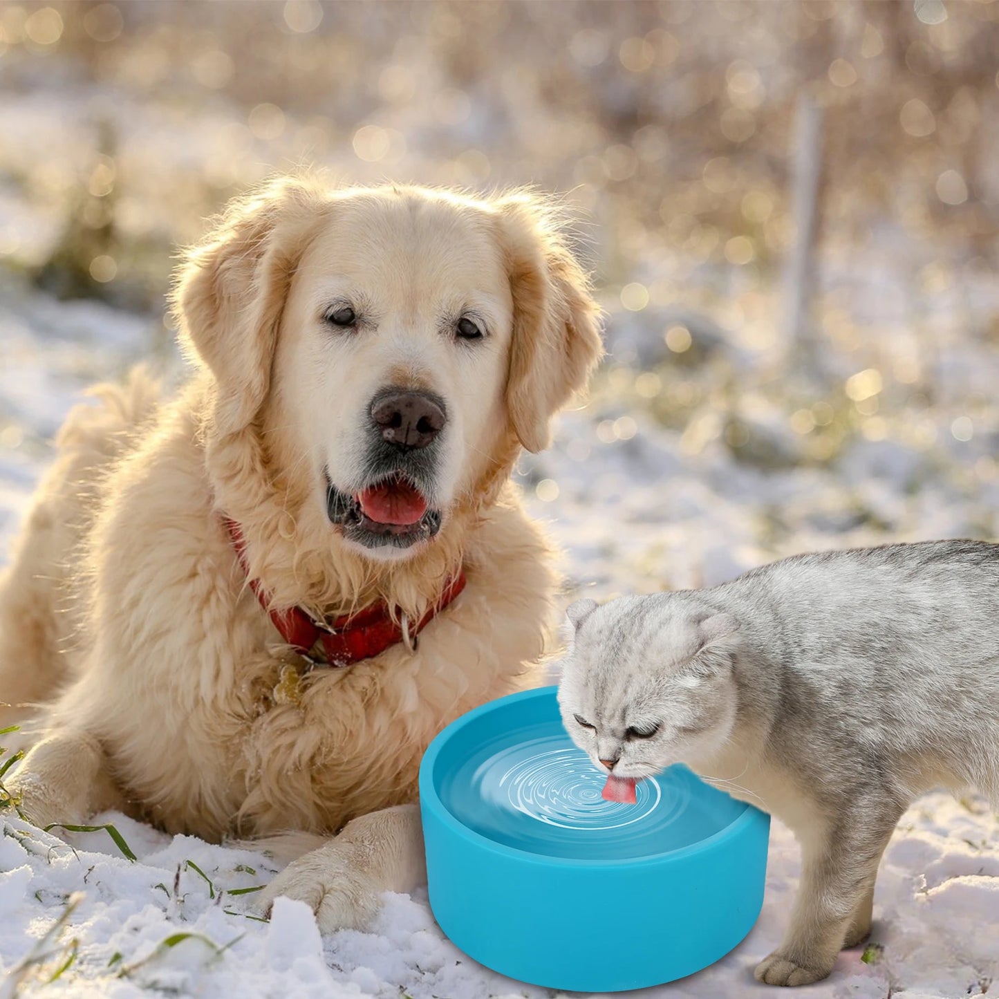 Heated Water Bowl 3.2 L/108 Oz Outdoor Thermal Pet Bowl Anti-Freeze Heated Pet Water Dish for Cat Rabbit Chicken Duck Squirrel