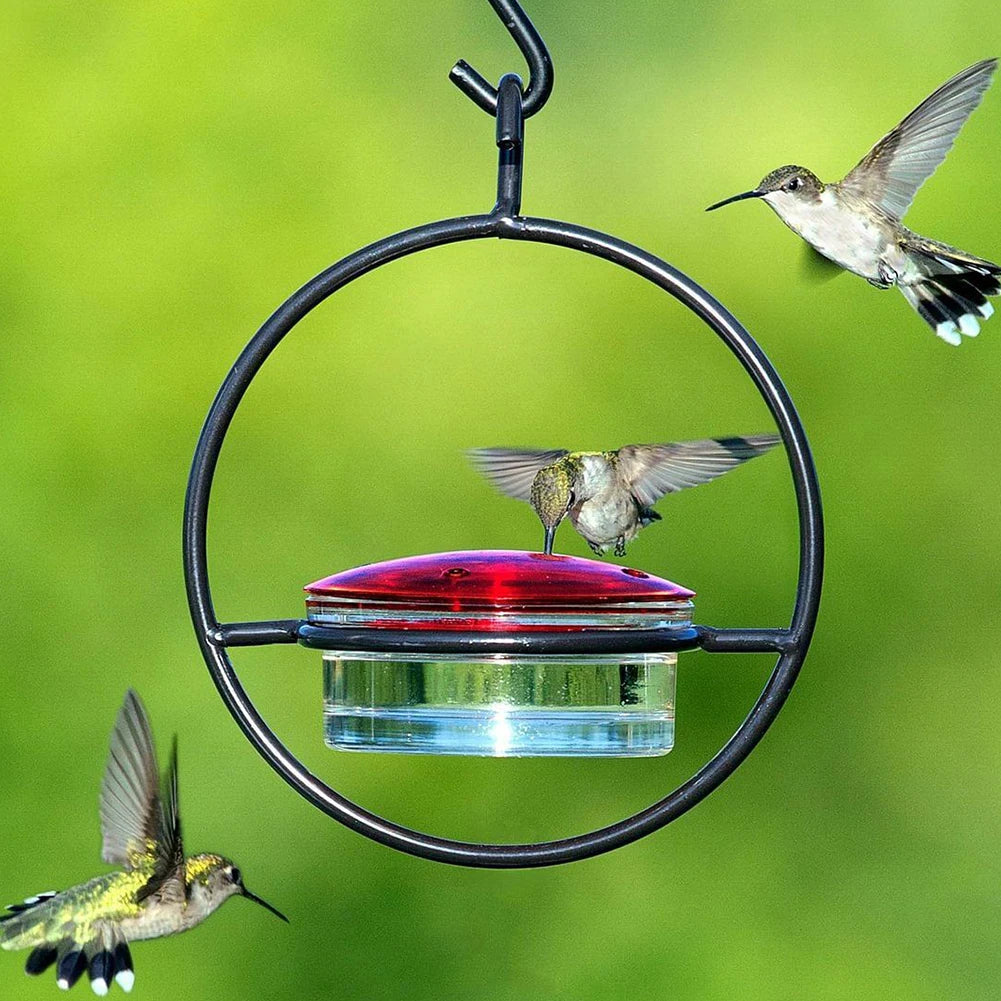 Hummingbird Drinker Feeder with Red Glass Bowl Outdoor Humming Bird Feeder Attract Birds for Outside Garden Backyard Patio Deck