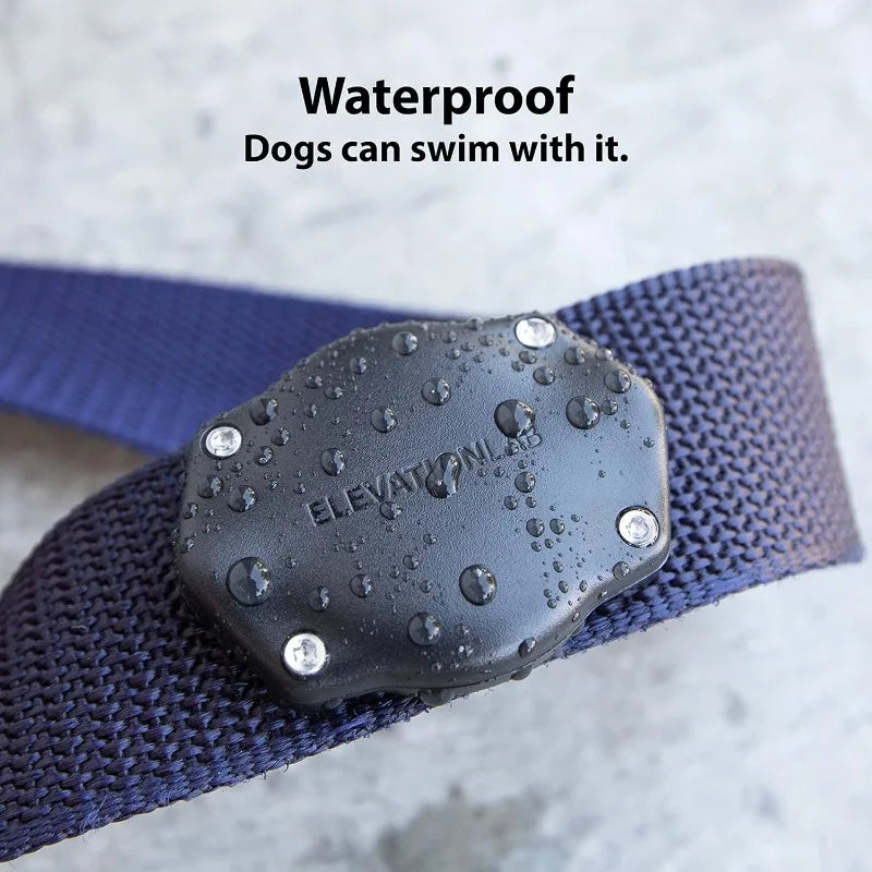 Dog collar installation (single) - IP69 waterproof, won't shake, suitable for collars of all widths,
