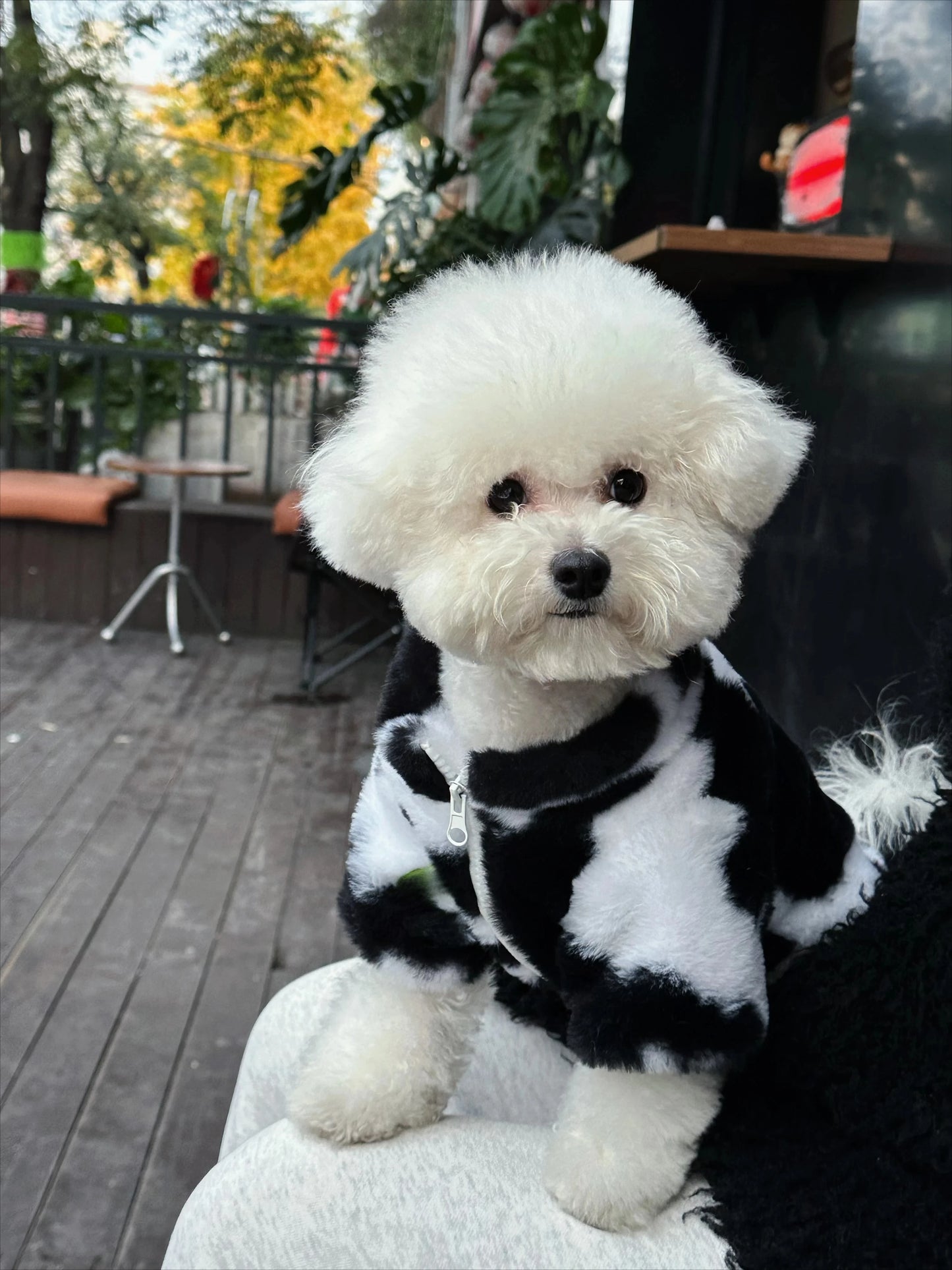 Dog clothes autumn and winter warm schnauzer fah bichon teddy small and medium-sized dogs and cats thickened fur coat - Quick and EZ Shop
