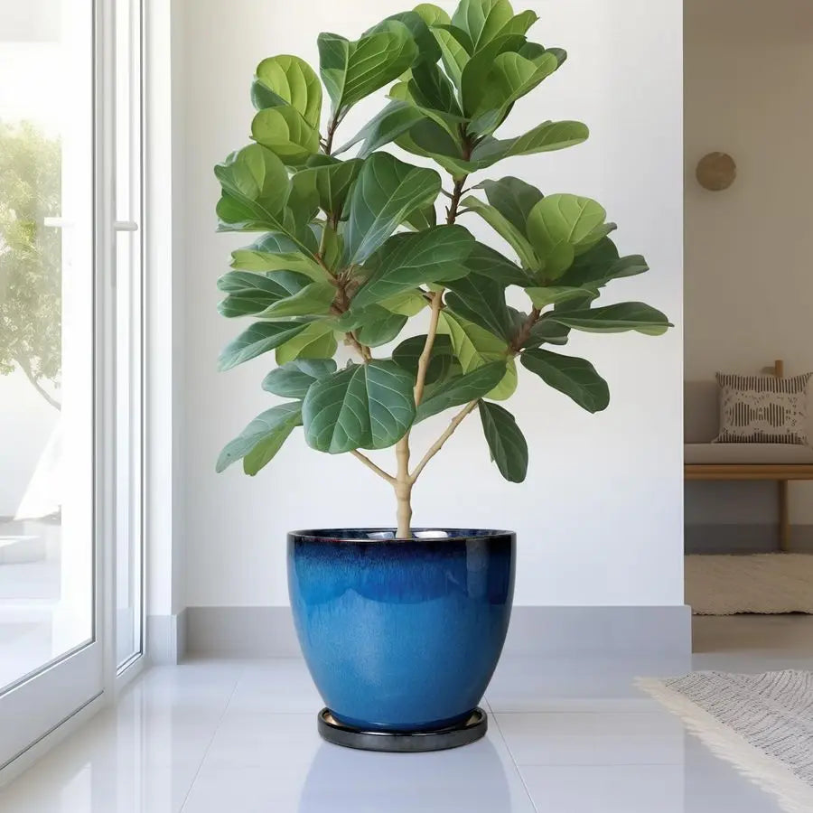 Ceramic Pots for Plants 10 Inch Planter for Indoor Ourdoor Plants Modern Large Flower Pot with Drainage Hole and Saucer Room Hom - Quick and EZ Shop