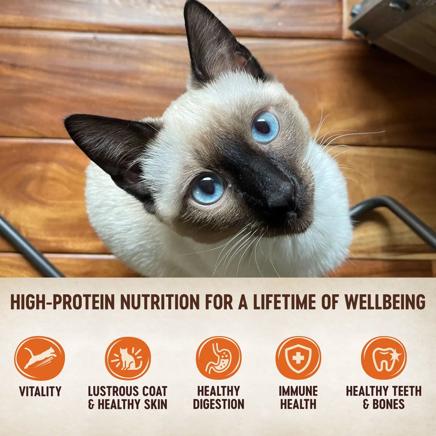 Wellness CORE Signature Selects Grain Free Canned Cat Food, Flaked Skipjack Tuna & Shrimp in Broth, 5.3 Ounces (Pack of 12)