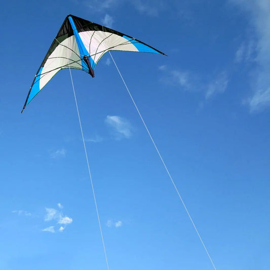 NEW Arrive 48 Inch Blue Professional Dual Line Stunt Kite With Handle And Line Good Flying Factory Outlet