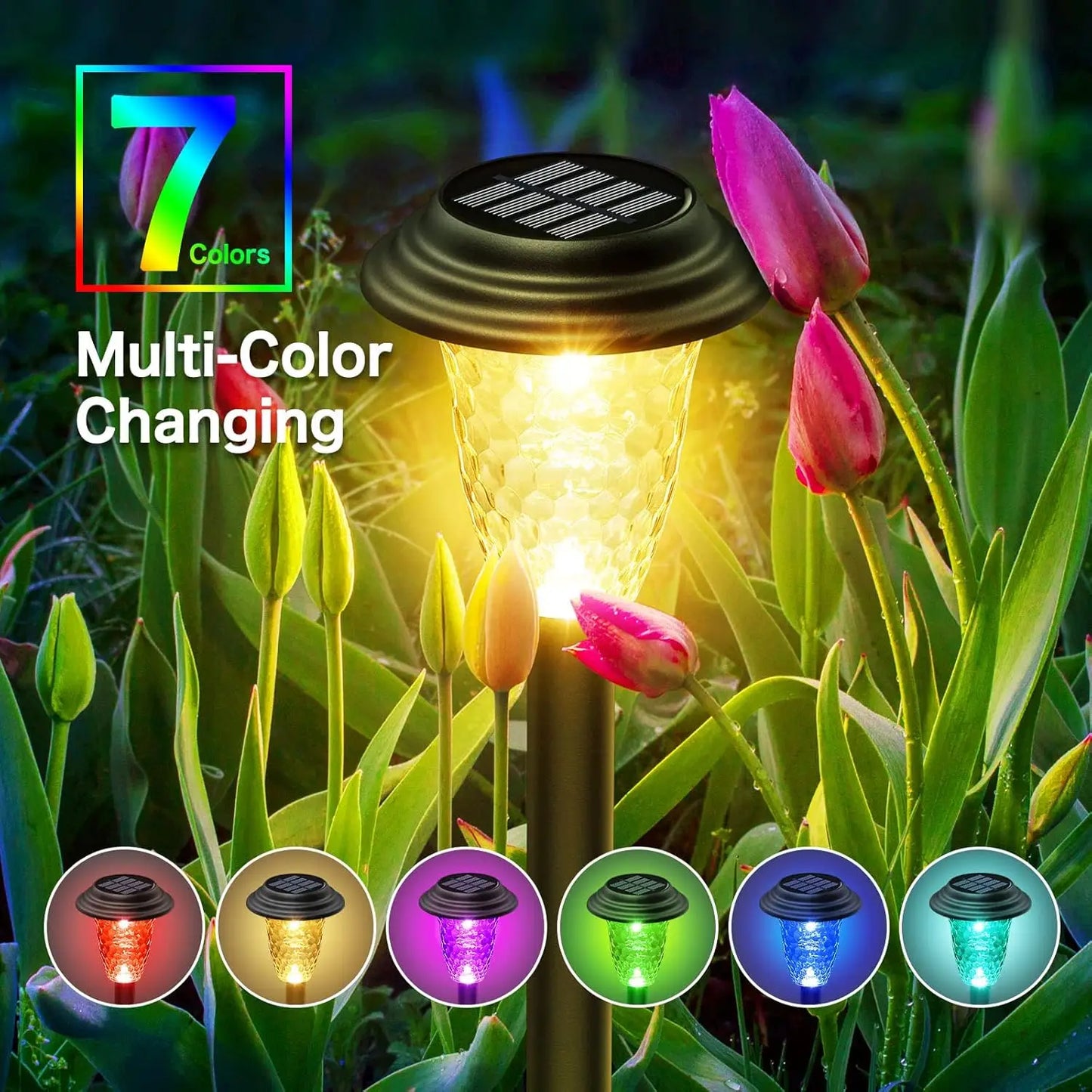 2/8/10Pack Solar Pathway Lights, RGB/Warm White Color Changing, Outdoor Garden/Backyard/Lawn/ LED Decor