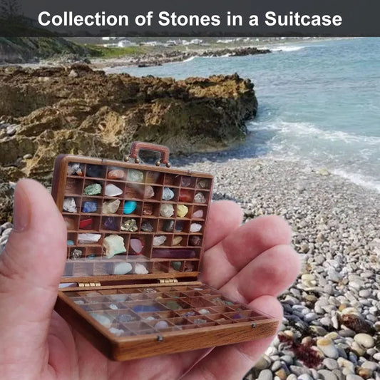 Stone Collection Suitcase Rock Collection Box for Kids Rock and Mineral Kit Gemstones and Crystals 33 Pcs Rock & Mineral Collect