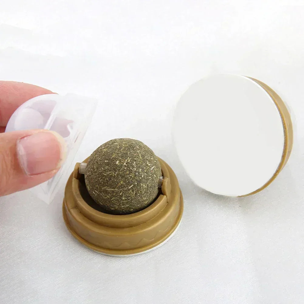 1-10PC Pet Catnip Toys Edible Catnip Ball Safety Healthy Cat Mint Cats Chasing Game Toy Products Clean Teeth The Stomach Catmint - Quick and EZ Shop