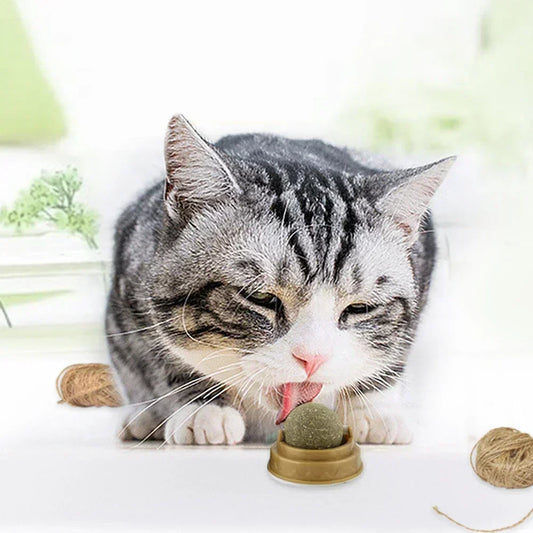 1-10PC Pet Catnip Toys Edible Catnip Ball Safety Healthy Cat Mint Cats Chasing Game Toy Products Clean Teeth The Stomach Catmint - Quick and EZ Shop