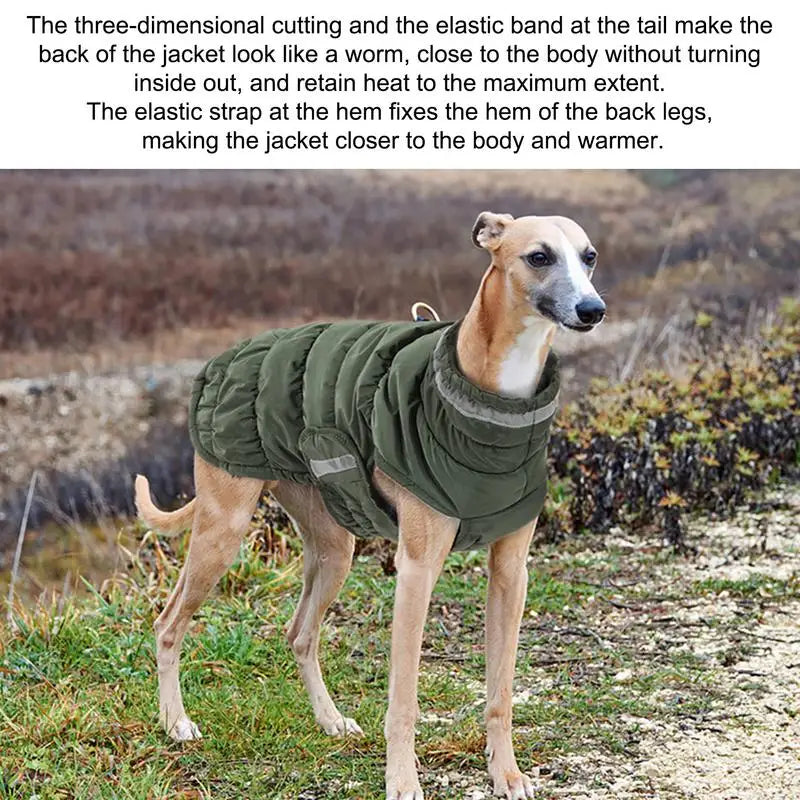 Winter Pet Warm Cotton Jacket Outdoor Thickened Waterproof Fleece Lined Dog Jacket Windproof Comfortable Reflective Dog Clothing