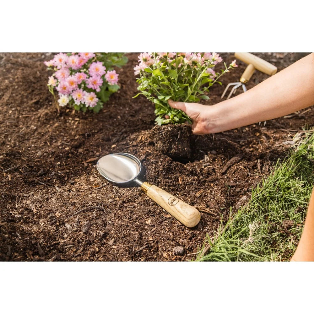 9 Piece Stainless Steel Gardening Tool Set Ergonomic Wood Handles Durable Rust Resistant Tools Indoor Outdoor Gardening