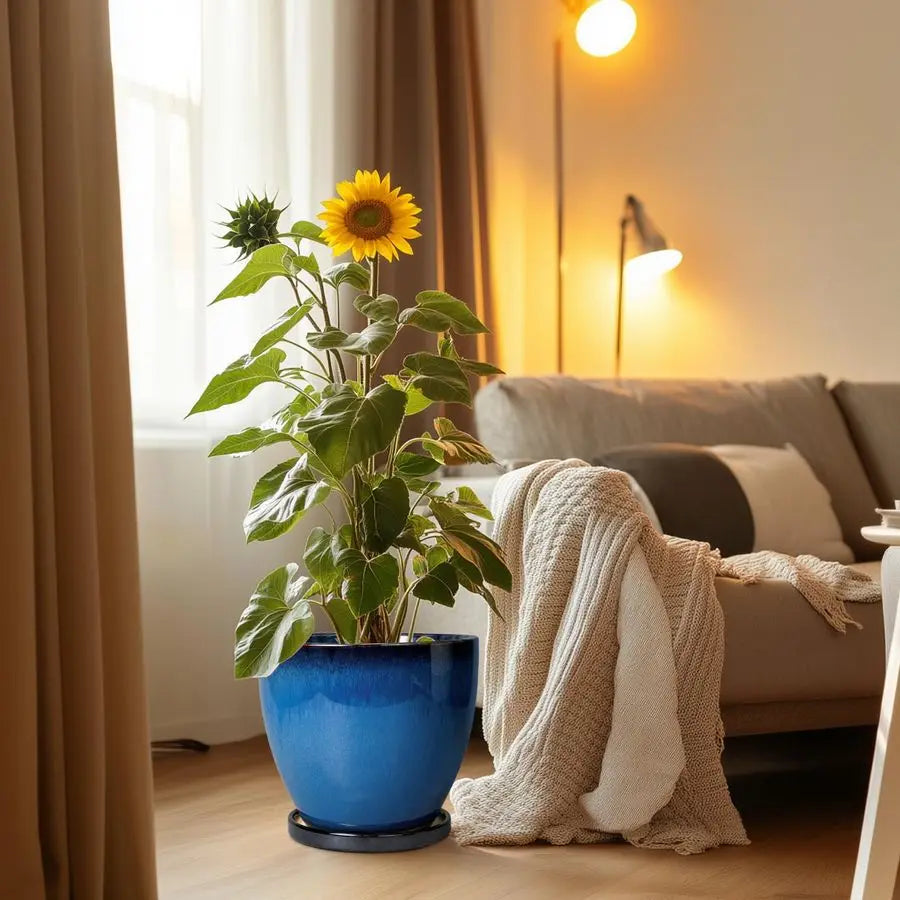 Ceramic Pots for Plants 10 Inch Planter for Indoor Ourdoor Plants Modern Large Flower Pot with Drainage Hole and Saucer Room Hom - Quick and EZ Shop