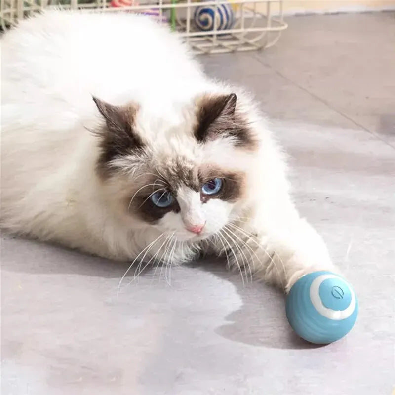 Cat Interactive Ball Training Self-moving Kitten Electric Cat Ball Toys Electronic Automatic Rolling Magic Ball Toys for Cat - Quick and EZ Shop